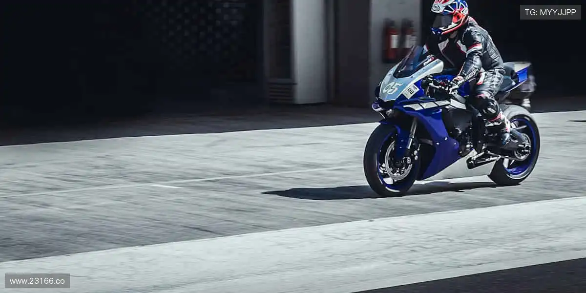 精彩纷呈,尽在掌握!🎥✨